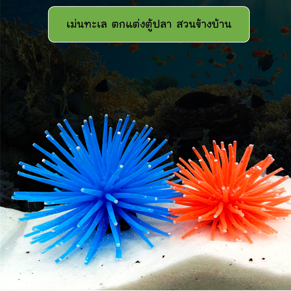 TNS เม่นทะเลเทียม จัดสวน  ตกแต่งตู้ปลา
