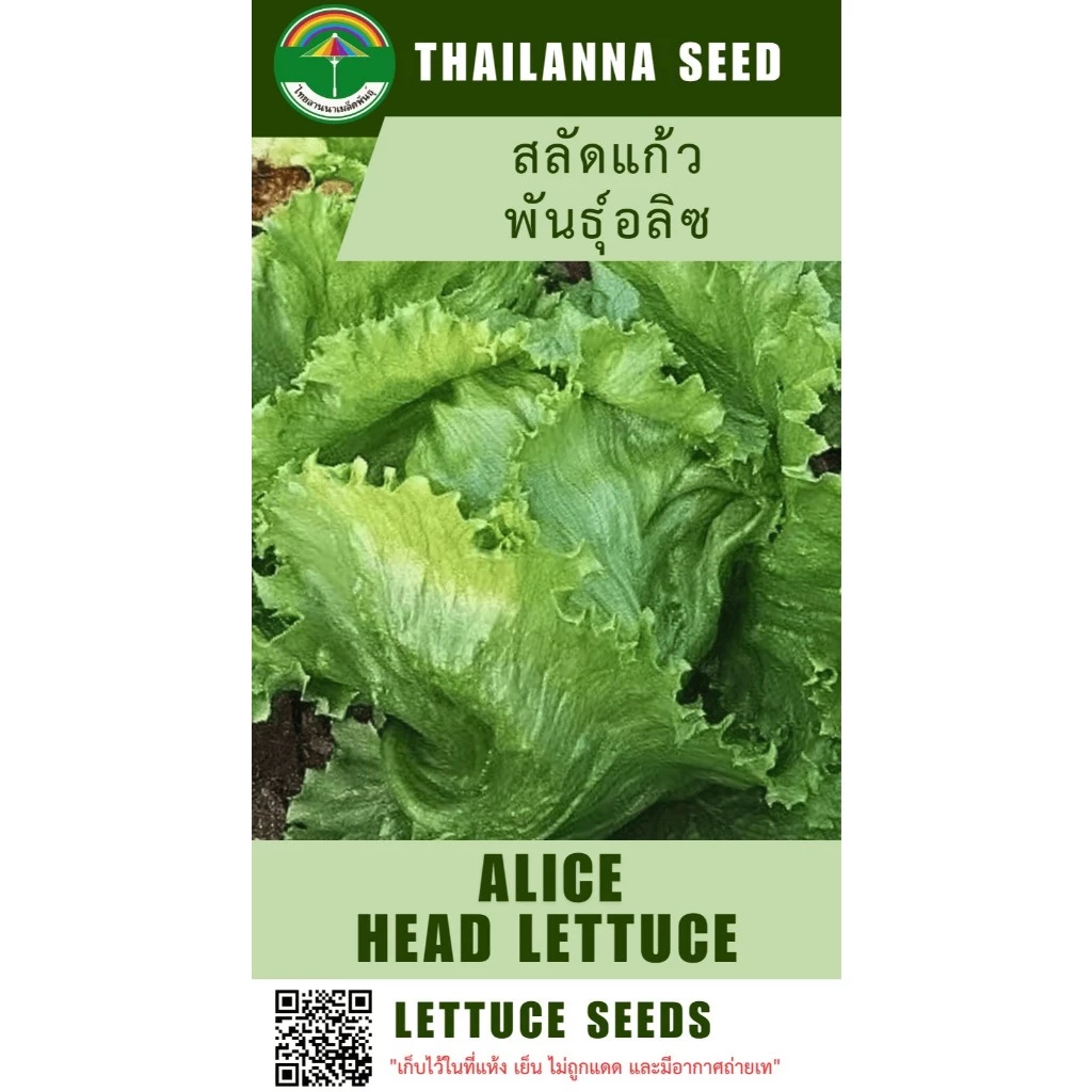 เมล็ดพันธุ์ผักสลัด สลัดแก้ว พันธุ์อลิซ ( ขนาด 0.5 กรัม ) ( เมล็ดเปลือย ) รหัสสินค้า 3025
