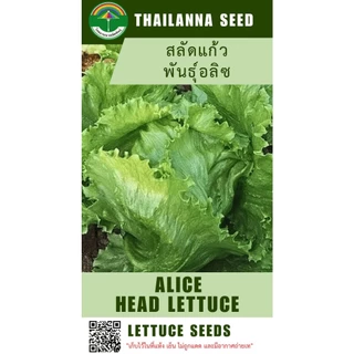 เมล็ดพันธุ์ผักสลัด สลัดแก้ว พันธุ์อลิซ ( ขนาด 0.5 กรัม ) ( เมล็ดเปลือย ) รหัสสินค้า 3025