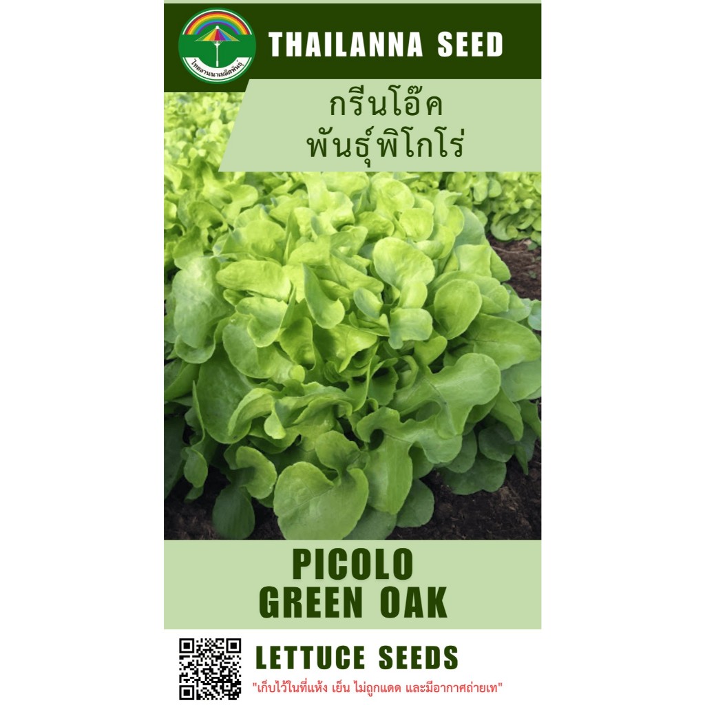 เมล็ดพันธุ์ผักสลัด กรีนโอ๊ค พันธุ์พิโกโร่ (ฟินิกซ์) ( ขนาด 0.5 กรัม ) ( เมล็ดเปลือย ) รหัสสินค้า 3003
