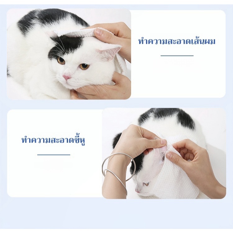 รูปภาพ 4