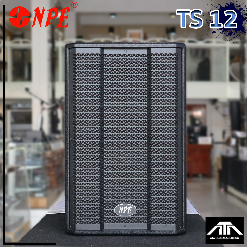 ตู้ลำโพง NPE TS-12 ตู้ลำโพง ขนาด 12 นิ้ว 2Way กำลังขับ 250W ที่ 8 โอห์ม  TS 12