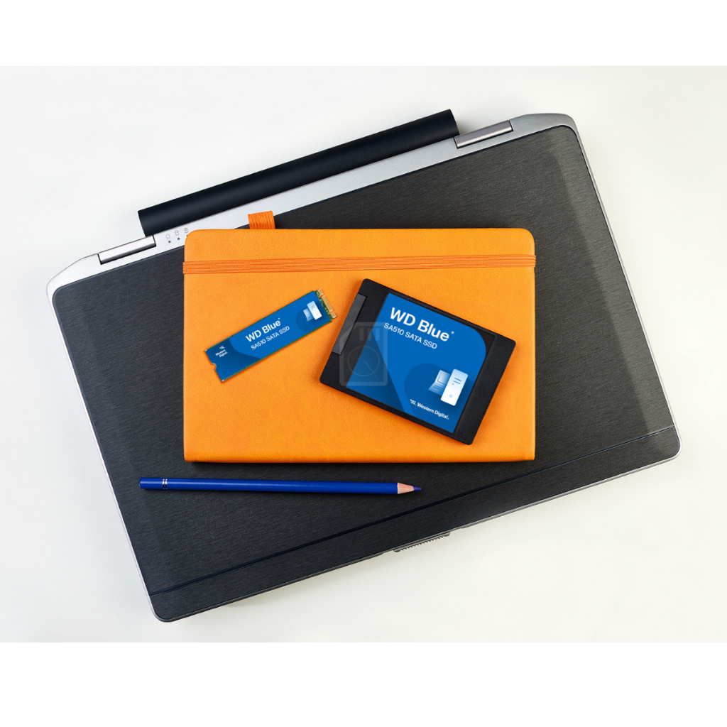 WD 1TB SSD (เอสเอสดี) WD BLUE SA510 รูปที่ 6