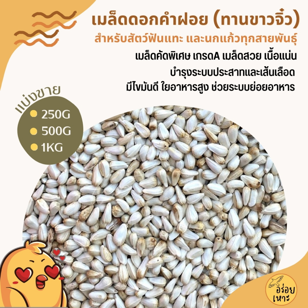 ดอกคำฝอย Safflower (ทานตะวันขาวจิ๋ว) เกรดA เม็ดเล็ก อาหารนกแก้วและสัตว์ฟันแทะ สะอาด ร่อนฝุ่น (ขนาด 250G / 500G / 1KG)