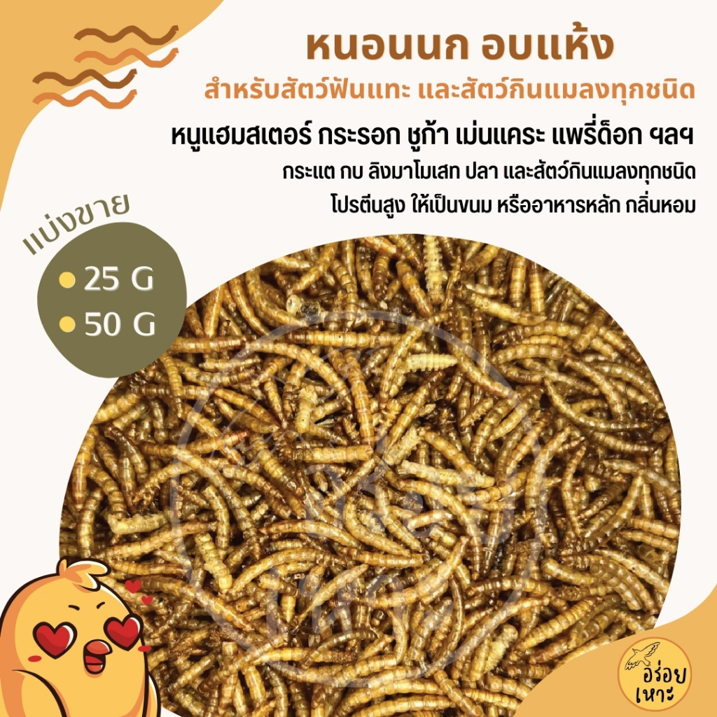 หนอนนก อบแห้ง เกรดA สำหรับ หนูแฮมสเตอร์ ชูก้าไรเดอร์ แพรี่ดอก เม่นเคระ และสัตว์เลี้ยงอื่นๆ (25G / 50G)
