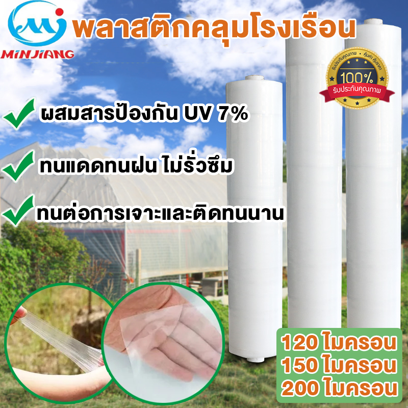 พลาสติกโรเรือน พลาสติกใสโรงเรือน พลาสติกPE พาสติกโรงเรือน พลสติกโรงเรือน UV7% หนา 120/150/200 ความยาวเลือกได้