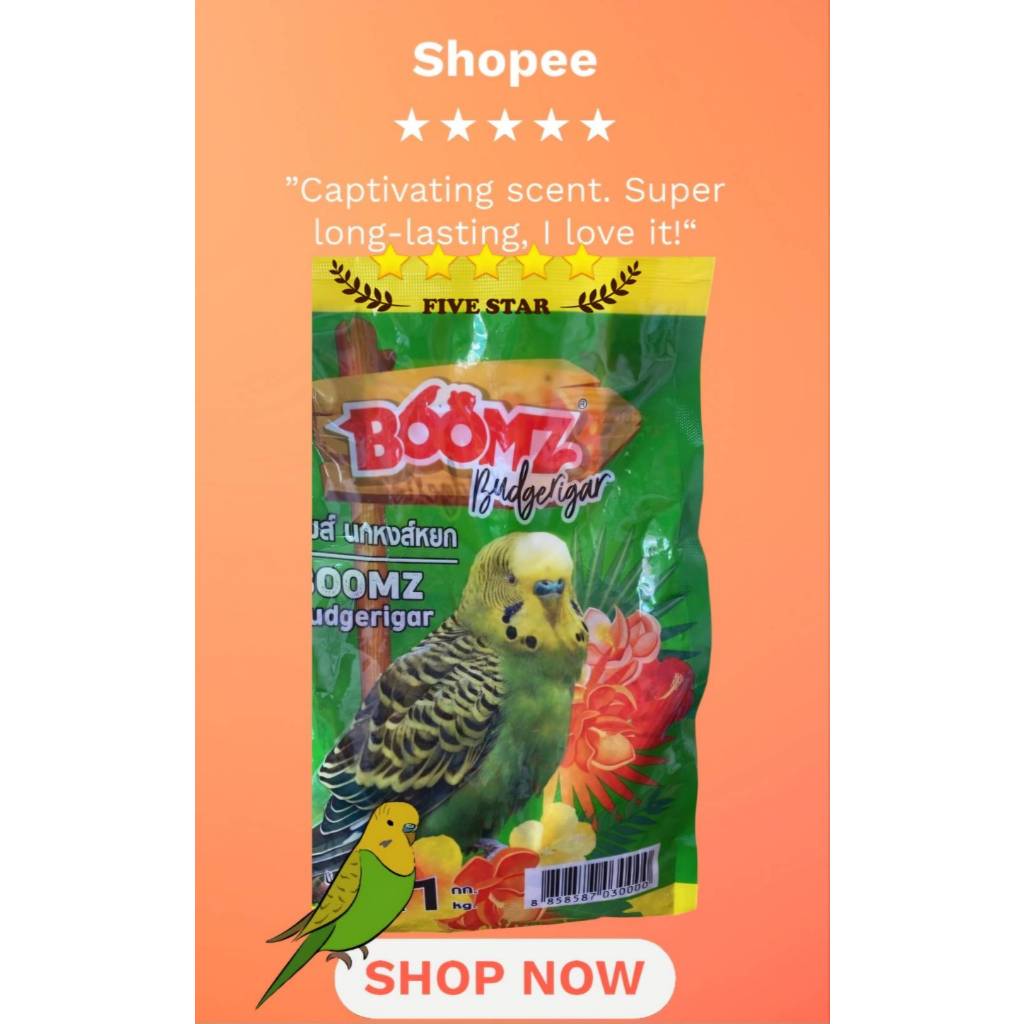 Boomz Budgie – อาหารนกหงษ์หยก 1Kg ครบถ้วนธัญพืชสำหรับนกเล้ก นกกลาง ยี่ห่อบูม