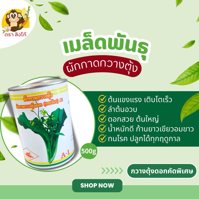 เมล็ดพันธุ์ ตรารถถัง ขนาด 100กรัม รากเเรง กระป๋อง 300 -2000เมล็ดพืชผักสวนครัว การันตีอัตรางอก