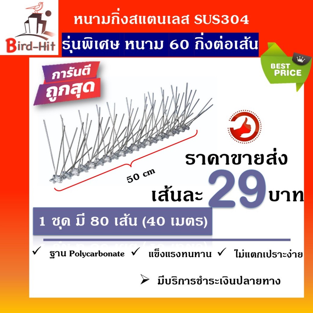หนามกันนก​ ไล่นก​ หนามฐานโ​พลี​คาร์บอเนต​ รุ่นพิเศษ​ หนาม​ 60​ กิ่งต่อเส้น​ จำนวน​ 80 เส้น​