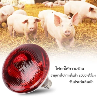 ชุดโคมแสตนเลส12นิ้ว ช่วยกระจายความร้อนได้ดีขึ้น 100w/150w/250w/275w