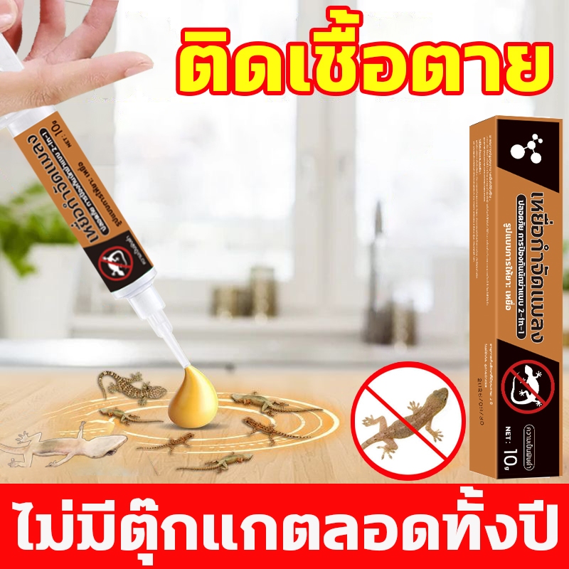 ✅ใช้ 1 ครั้งทนทาน 10 ปี✅ยาฆ่าจิ้งจก ยาฆ่าตุ๊กแก ยาไล่จิ้งจก ไล่จิ้งจก 10g ดึงดูดรวดเร็ว ฆ่าจิ้งจกมีประสิทธิภาพ