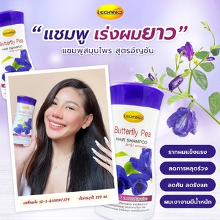 แชมพูอัญชัน ลีกาโน่ Butterfly Pea Legano Hair Shampoo 220ml. เร่งผมยาวเร็ว ลดผมขาดหลุดร่วง