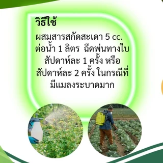 สารสกัด สะเดา 100% ขนาด 500 CC. สำหรับไล่แมลง ป้องกัน กำจัด หนอน เพลี้ย แมลงศัตรูพืช