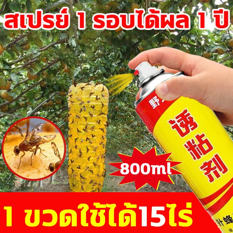พร้อมส่ง สารล่อแมลงวันทอง เมทิลยูจินอล ดักจับแมลงวันทอง สารล่อแมลงทอง 800ml ล่อเร็วด้วยสเปรย์ฉีดเดียว กันฝนและกันแดด