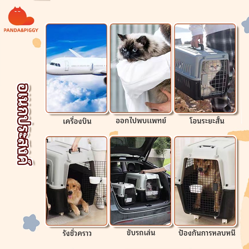 Panda & Piggy:【 ส่งจากไทย】กล่องเดินทางสัตว์เลี้ยง กรงหิ้วหมา กรงหิ้วแมว ทนทาน ไม่แตกง่าย （ไม่รวมพื้น） - รูปที่ 6