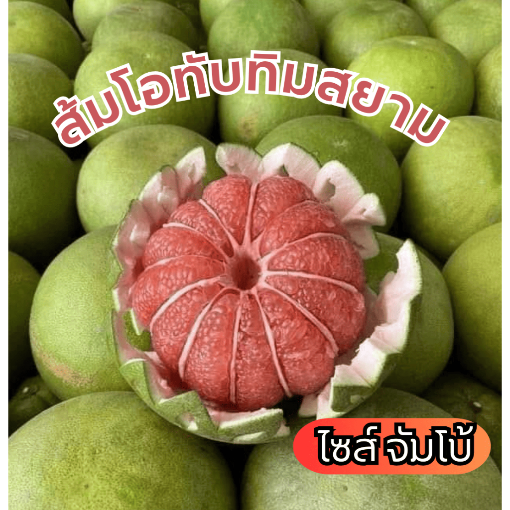 ส้มโอทับทิมสยามไร่น้องทิชา ไซส์จัมโบ้ 3ลูก