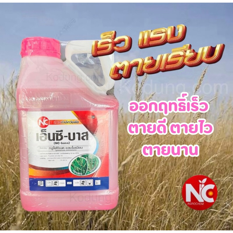 เอ็นซีบาส -4 ลิตร กลูโฟซิเนต ชนิดเข้มข้นดูดซึมไว สูตรทนฝนสารกำจัดวัชพืชปราบยาก
