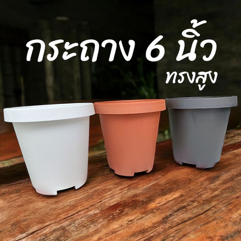 กระถาง 6 นิ้ว ปากพับขอบ ผิวด้าน ทรงสูง