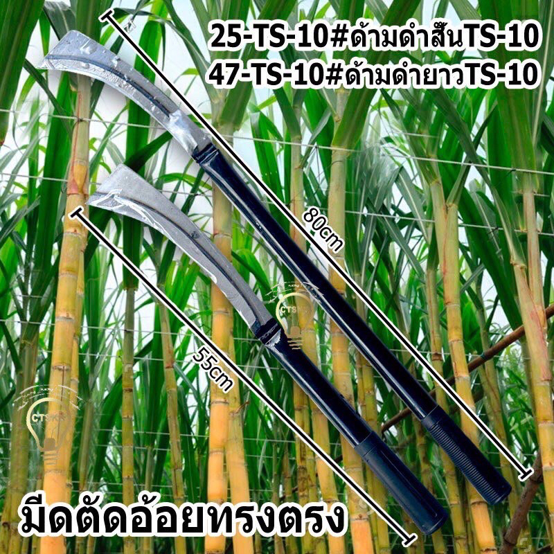 รับประกัน1ปี (🔥🔥รุ่นใหม่)มีดตัดอ้อยทรงตรง TS-10 มีดพร้าขอด้ามสั้นด้ามยาว ถางป่า สรางใบอ้อย ใช้งานอเนกประสงค์ พร้อมส่ง