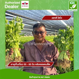 เมล็ดพันธุ์ ขึ้นฉ่าย นวลจันทร์ ตราศรแดง ขนาด 50/350 กรัม