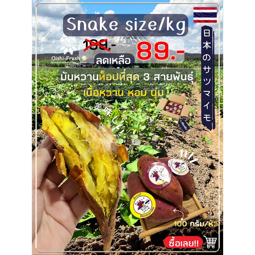 ถูกสุด มันหวานญี่ปุ่น ซิลสวีท ไซต์ Snack ปลูกไทย l แบบดิบ เนื้อเหลืองนุ่ม หอมหวานหนึบ 1 กิโลกรัมสินค้าเคลมได้