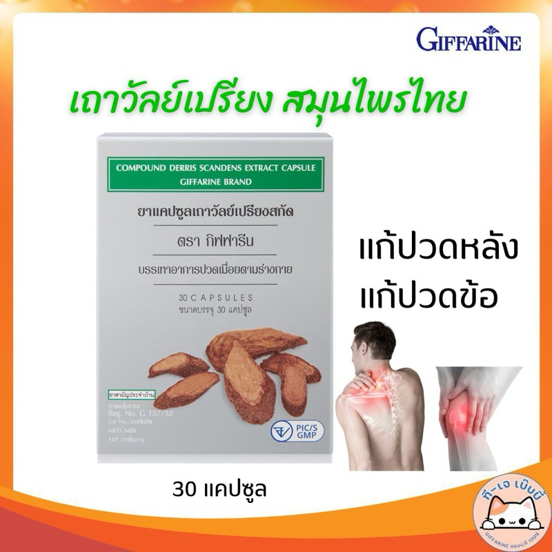 [ ของแท้ 100% ] เถาวัลย์เปรียงสกัดผง กิฟฟารีน ยาแผนโบราณ บรรเทาอาการปวดเมื่อย ปวดหลัง ปวดเอว