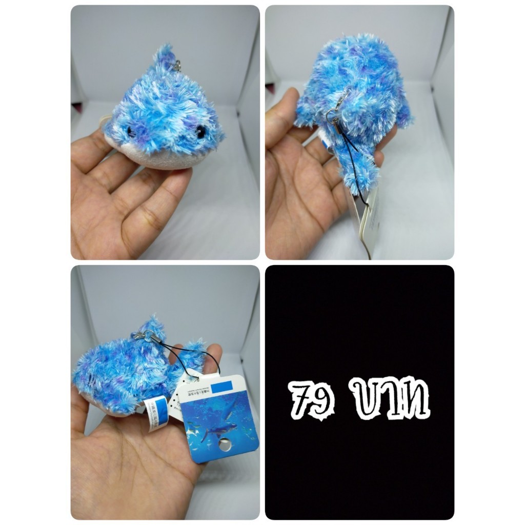 Whale Shark#ฉลามวาฬ#ปลา#Okinawa Churaumi Aquarium#งานพวงญี่ปุ่นมือสอง