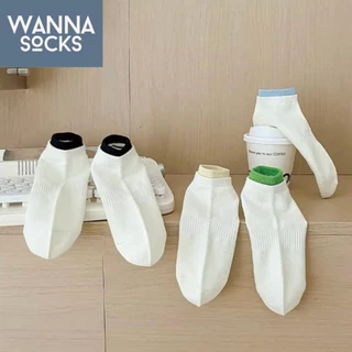 ส่งจากไทย!! ถุงเท้าข้อสั้น รุ่น Basic Cozy สไตล์มินิมอล สีพื้น ถุงเท้าแฟชั่น ทำจากผ้าฝ้าย B22