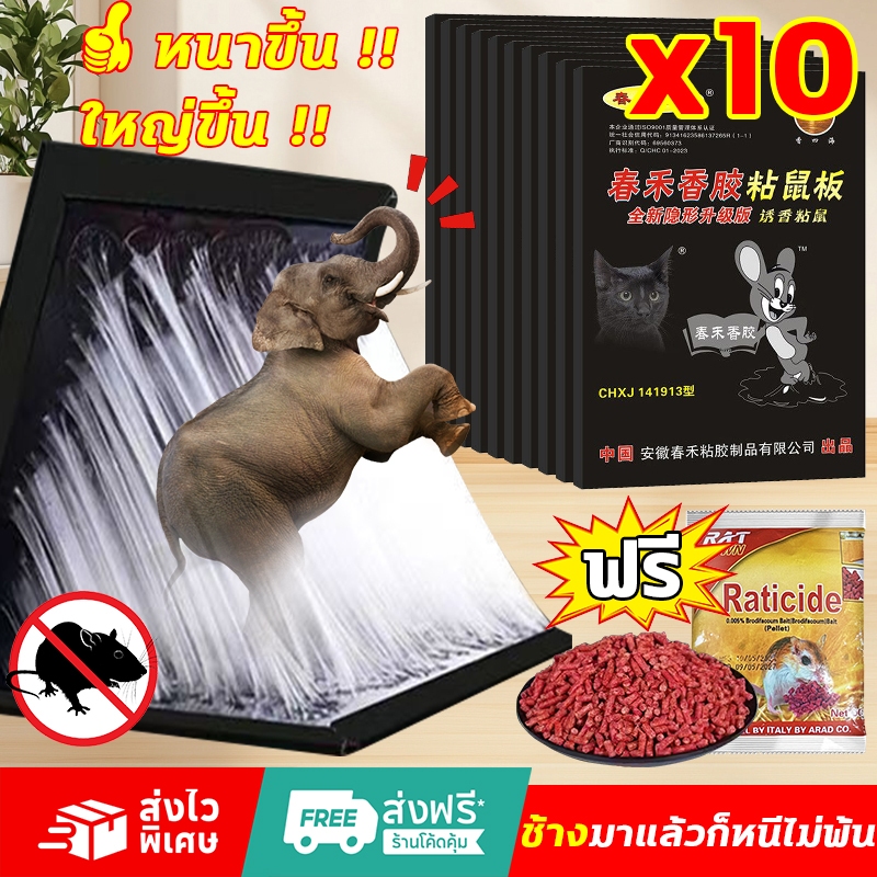 รุ่นหนาขึ้นอัพเกรด กาวดักหนู กับดักหนู กําจัดหนู อุปกรณ์กำจัดหนูมืออาชีพยี่ห้อเก่ากว่า 30 ปี กกาวนำเข้าจากเยอรมัน