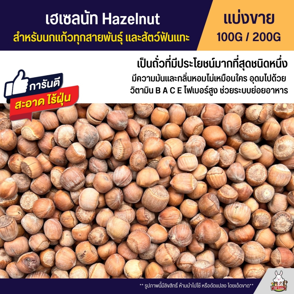 เฮเซลนัท Hazelnut แบบสด ไม่อบ อาหารนกแก้ว และสัตว์ฟันแทะทุกชนิด (แบ่งขาย 100G / 200G)