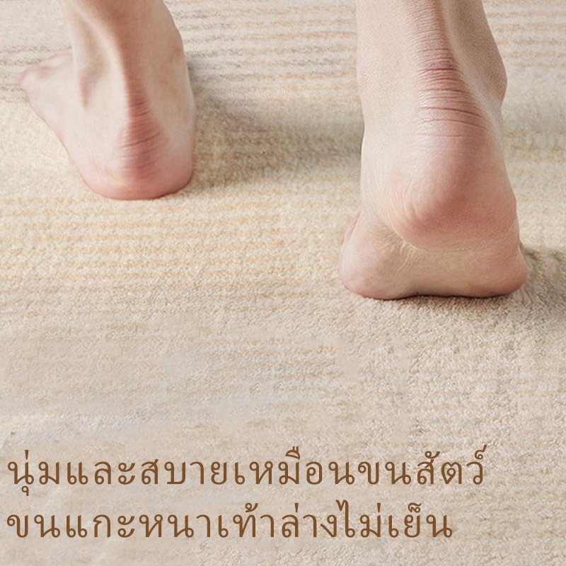 พรมปูพื้น ดูดซับน้ำ