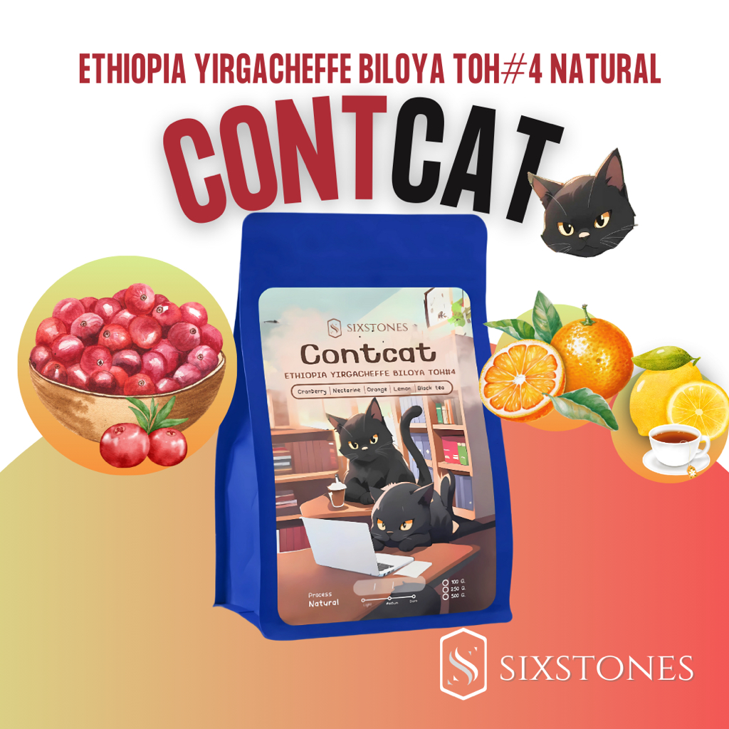 (ใหม่!)เมล็ดกาแฟเอธิโอเปีย หอมเบอรี่ เลม่อน ชาดำ Ethiopia YIRGACHEFFE BILOYA TOH#4 Natural ซิกซ์สโตนส์ sixstones