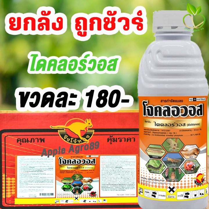 🎁ยกลัง ถูกชัวร์ โจคลอวอส ไดคลอร์วอส ขนาด 1 ลิตร x 12 ขวด กำจัดหนอนชอนใบ กำจัดหนอนบอนสี กำจัดหนอนกินใบ กำจัดหนอน