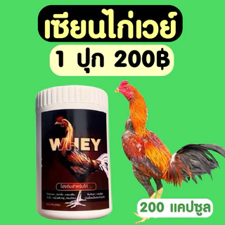 💪🏽🐔เซียนไก่เวย์ โปรตีนไก่ชน บินดีไม่มีตก วิ่งอืด บำรุงไก่ชน เสริมกระดูก #เซียนไก่การันตี🐓