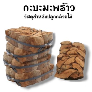 กะบะกาบมะพร้าว ถาดกาบมะพร้าว เครื่องปลูกยึดกล้วยไม้ (อัดแข็ง…