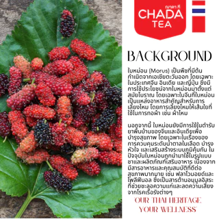 ชาใบหม่อน ตรา ฌาดา 30 ซองชา herbal tea mulbery leaf chada brand natural pure 100%