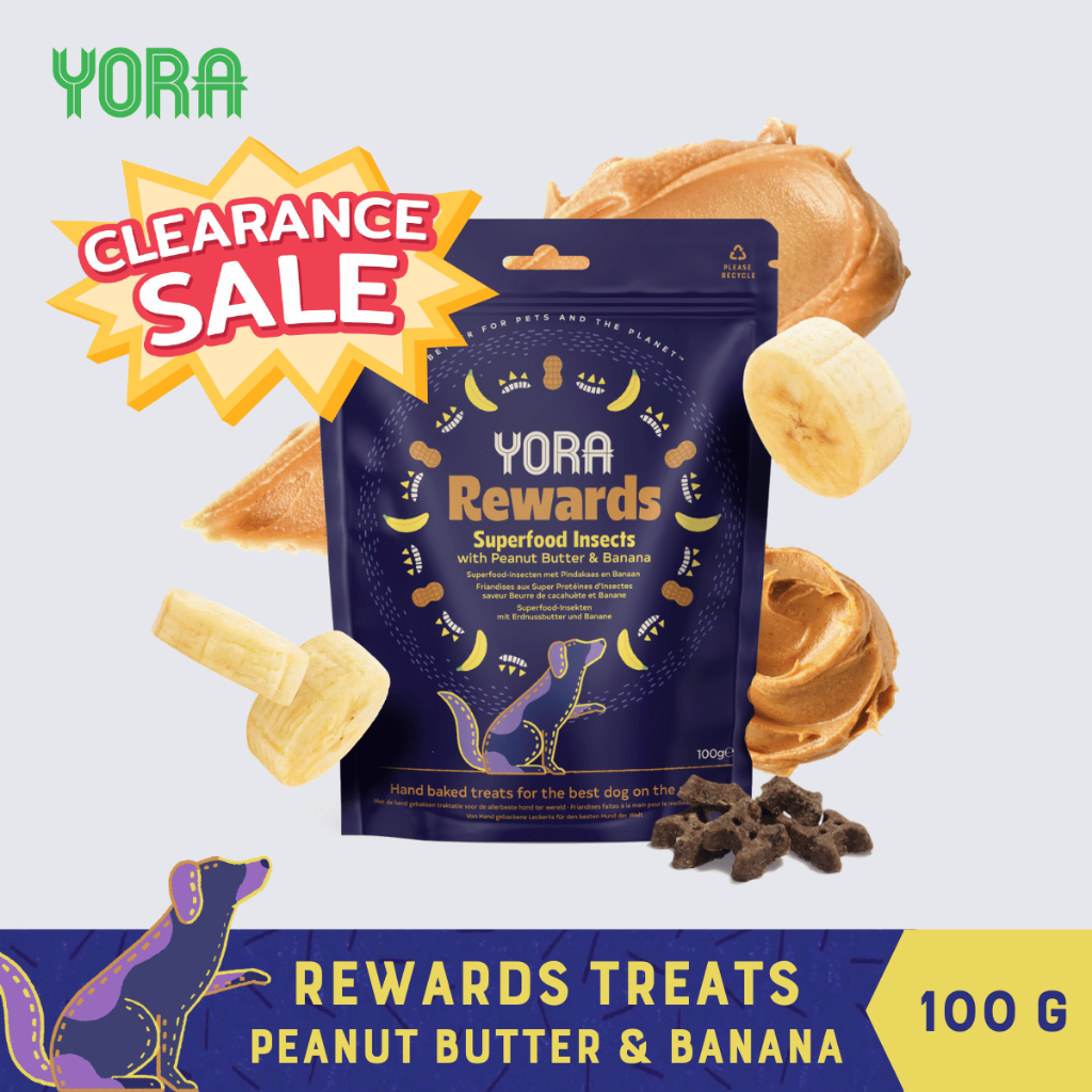[CLEARANCE] YORA Rewards Treats Peanut Butter Banana 100g โยรา รีวอร์ดส ขนมโปรตีนแมลงสำหรับสุนัข BBD
