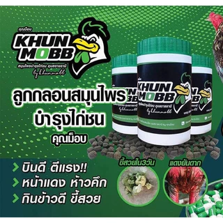 ชุดเลี้ยงคุณม็อบ คุณม็อบ คชสาร ฟื้นฟู บินชิพผาย ช้ำใน Khun Mobb