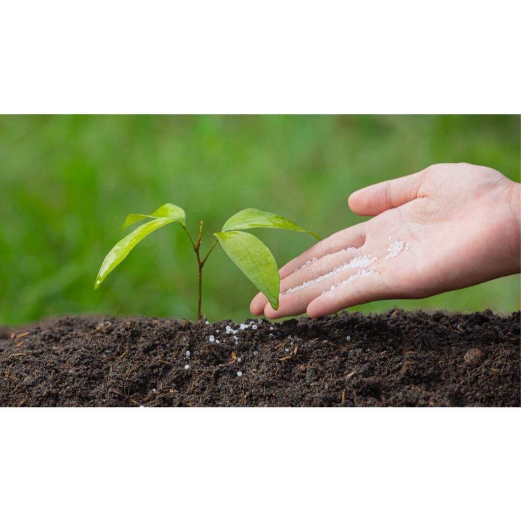 ปุ๋ย แมกนีเซียมซัลเฟต MgSO4 แบบผงเกล็ดสีขาว (ดีเกลือฝรั่ง) ดวงตะวันเพชร แบ่งบรรจุถุงละ 1 กิโลกรัม - รูปที่ 7