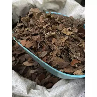(2ถุง50)(15ถุงส่งฟรี)ใบก้ามปูหมัก ใบไม้ไม้หมัก ธรรมชาติ 1KG. ไนโครเจนสูง เพิ่มความร่วนซุย หมักแล้วพร้อมใช้