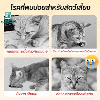 TUBI อาหารแมวเปียกกระป๋อง 450g กระป๋องความจุขนาดใหญ่ อาหารแมวเปียก ขนแมวเพื่อสุขภาพ