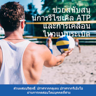 Omilay Creatine Monohydrate ครีเอทีน Creatine Powder คลีเอทีน Weight Training Watermelon 300 กรัม
