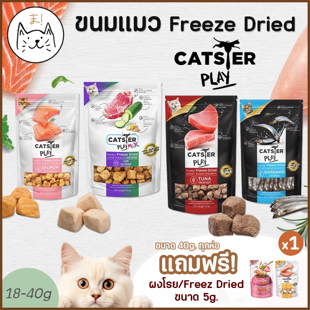 KUMAま CATSTER PLAY&MIX ขนมแมว (Freeze Dried) วัตถุดิบ Premium ชิ้นเนื้อแท้ ฟรีซดราย ขนมสัตว์เลี้ยง (18-40 กรัม