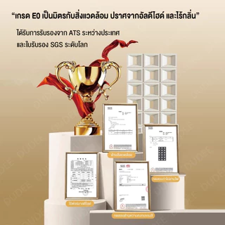 DUDEE ผนังตกแต่ง สวยงาม น้ำหนัก ติดตั้งง่าย แข็งแรง สวยงาม ทันสมัย