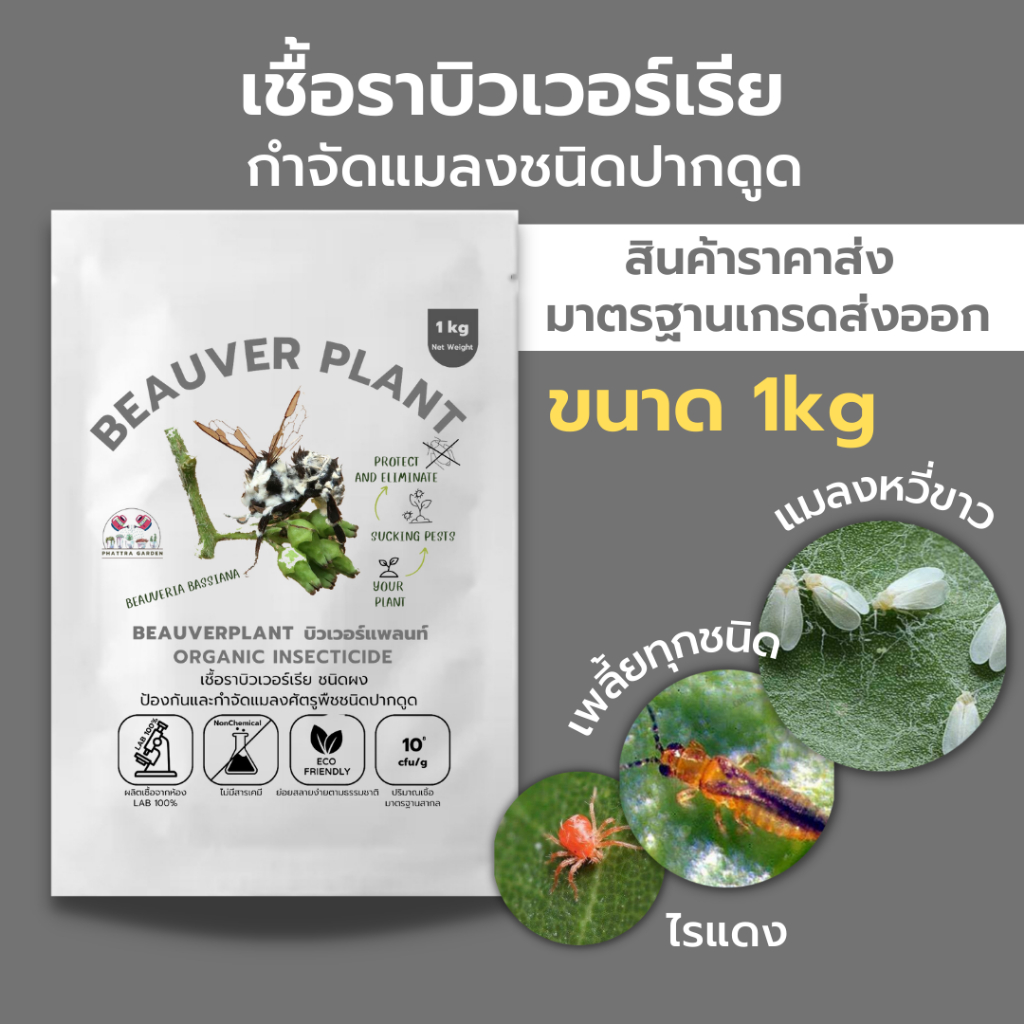 บิวเวอร์เรีย 1kg ราคาส่ง กำจัดแมลงศัตรูพืช ออร์แกนิคแท้100% ปลอดภัยต่อผู้ใช้และสัตว์เลี้ยง