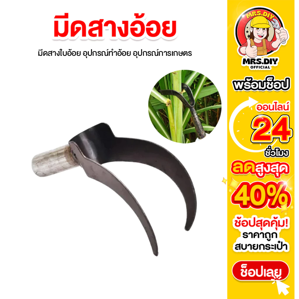 มีดสางอ้อยสแตนเลส อุปกรณ์ทำอ้อย thumbnail 4