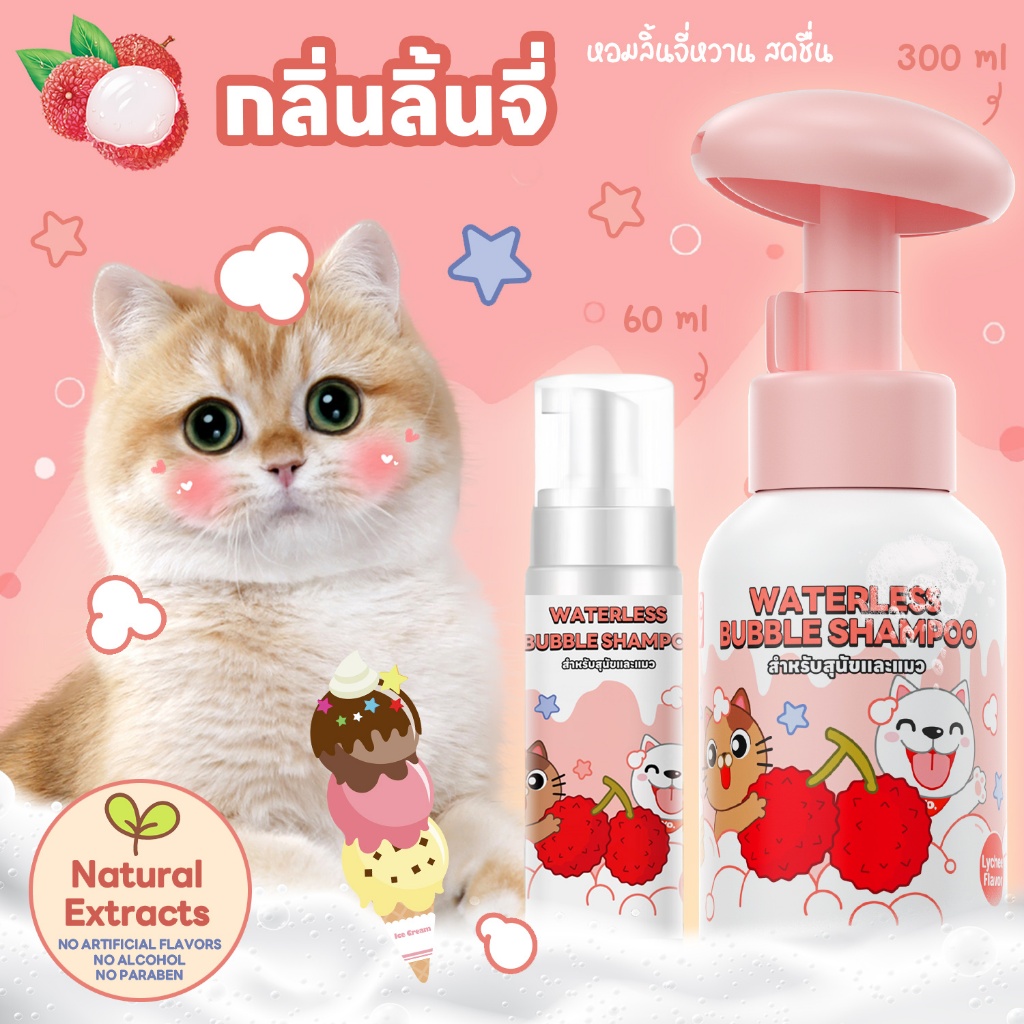 รูปภาพ 7