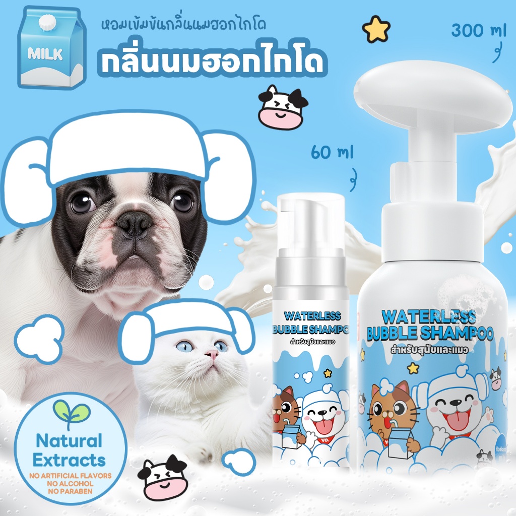 รูปภาพ 8