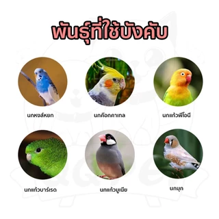 QQPET อาหารสำหรับนก 900g อาหารนกแก้ว อาหารนกผสม ผสมธัญพืช มีคุณค่าทางอาหาร