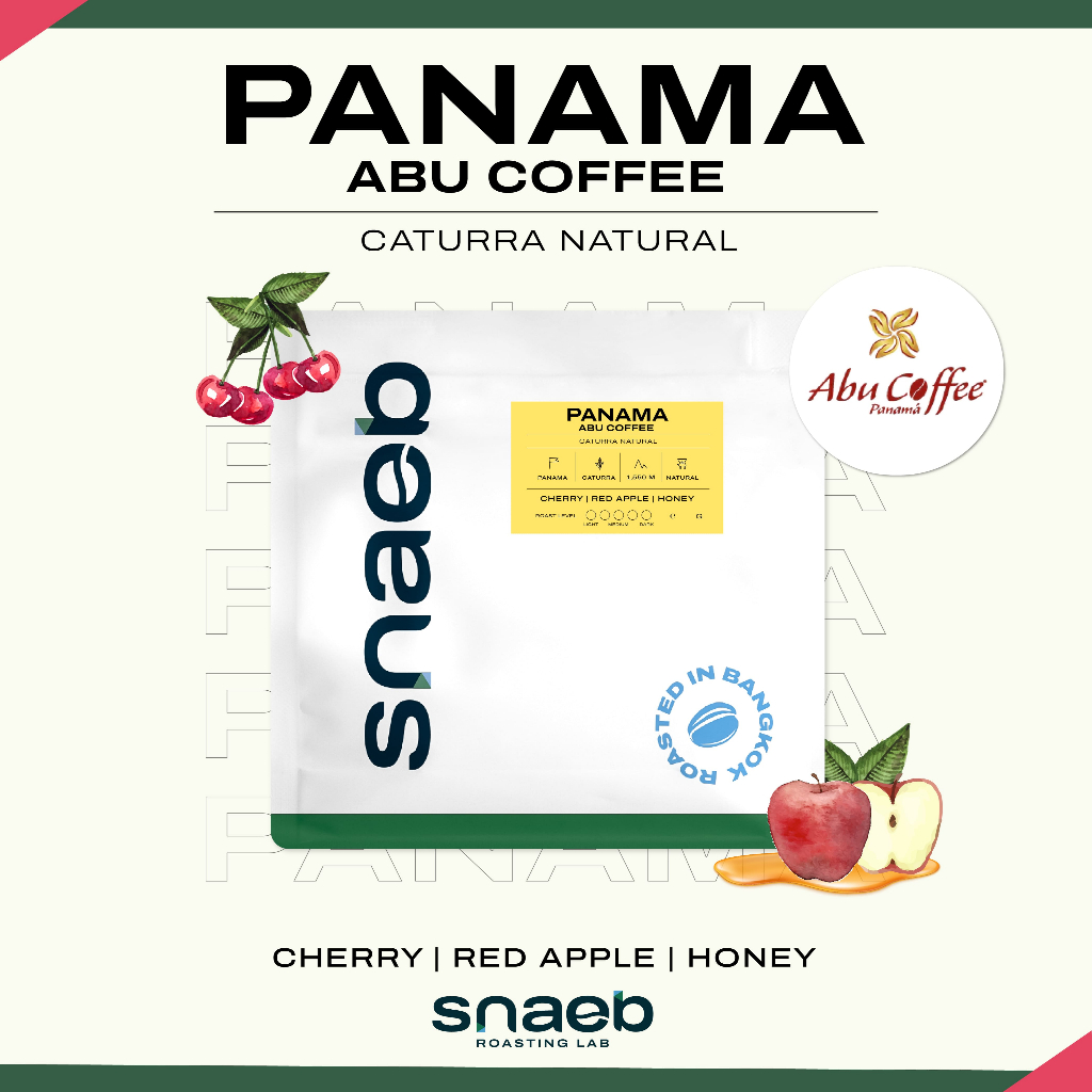 Panama Abu Coffee Caturra Natural | เมล็ดกาแฟคั่ว คั่วอ่อน Snaeb Coffee